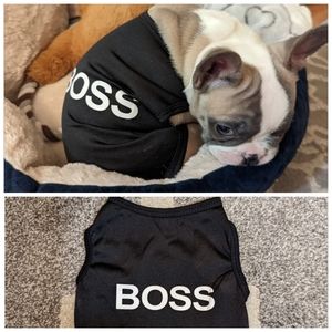 Boss Puppy shirt